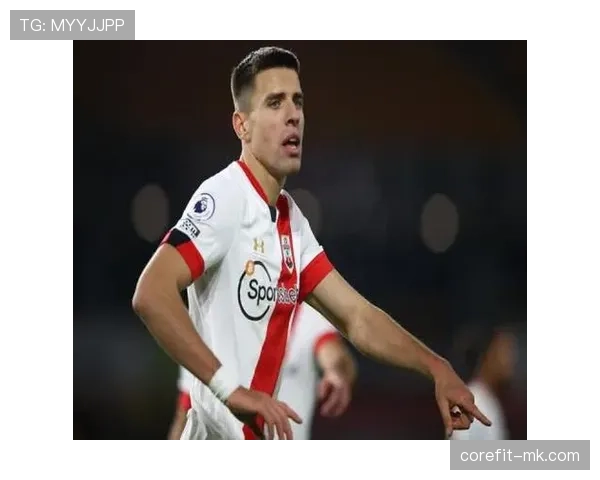 贝德纳雷克助南安普顿争冠表现抢眼,前路却日益艰险 贝德纳雷克助南安普顿争冠表现抢眼,前路却日益艰险