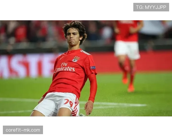 菲利克斯本菲卡封神赛季解析:一战成名欧洲