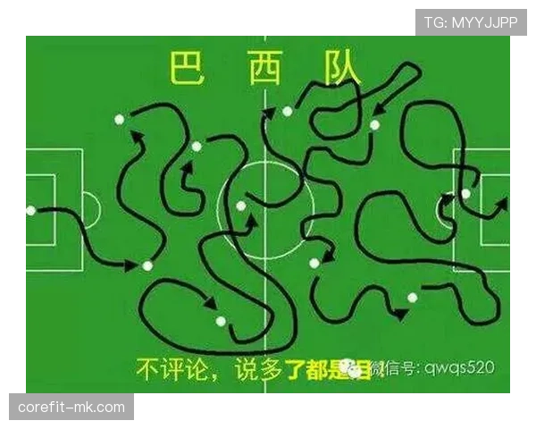 瑞典世界杯战术升级解析 瑞典世界杯战术升级解析